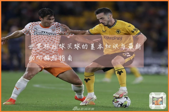世界杯让球买球的基本知识与最新动向排列指南