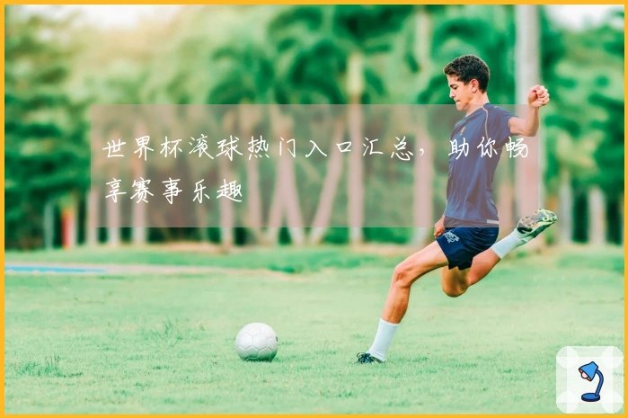 世界杯滚球热门入口汇总，助你畅享赛事乐趣