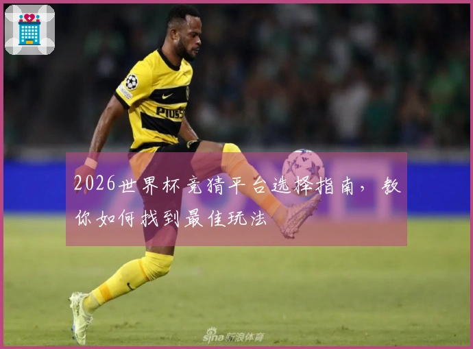2026世界杯竞猜平台选择指南，教你如何找到最佳玩法