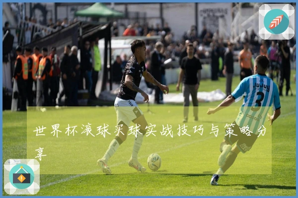 世界杯滚球买球实战技巧与策略分享