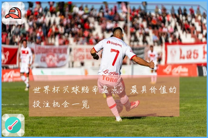 世界杯买球赔率盘点：最具价值的投注机会一览
