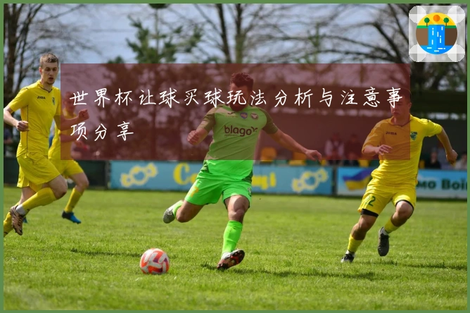 世界杯让球买球玩法分析与注意事项分享