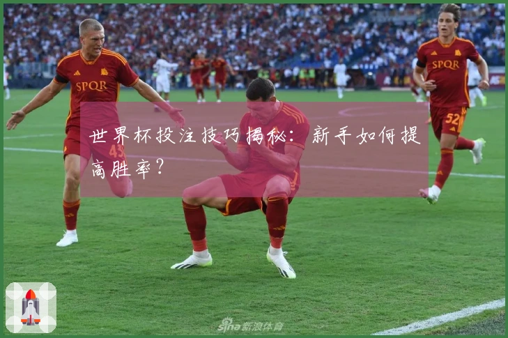世界杯投注技巧揭秘：新手如何提高胜率？
