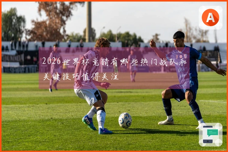 2026世界杯竞猜有哪些热门战队和关键技巧值得关注