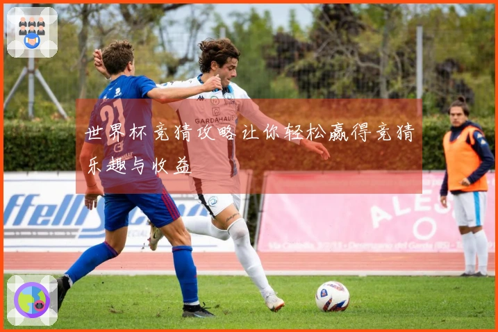 世界杯竞猜攻略让你轻松赢得竞猜乐趣与收益