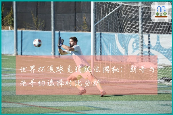 世界杯滚球竞猜玩法揭秘：新手与老手的选择对比分析