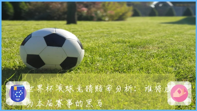 世界杯滚球竞猜赔率分析：谁将成为本届赛事的黑马