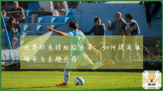 世界杯竞猜经验分享：如何提高准确率与乐趣并存