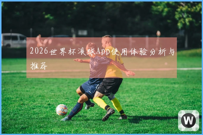 2026世界杯滚球App使用体验分析与推荐