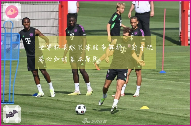 世界杯滚球买球赔率解析：新手玩家必知的基本原则